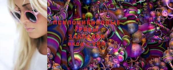 ГАЛЛЮЦИНОГЕННЫЕ ГРИБЫ Балабаново