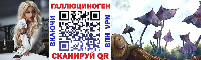 Галлюциногенные грибы Cubensis  Лесосибирск 